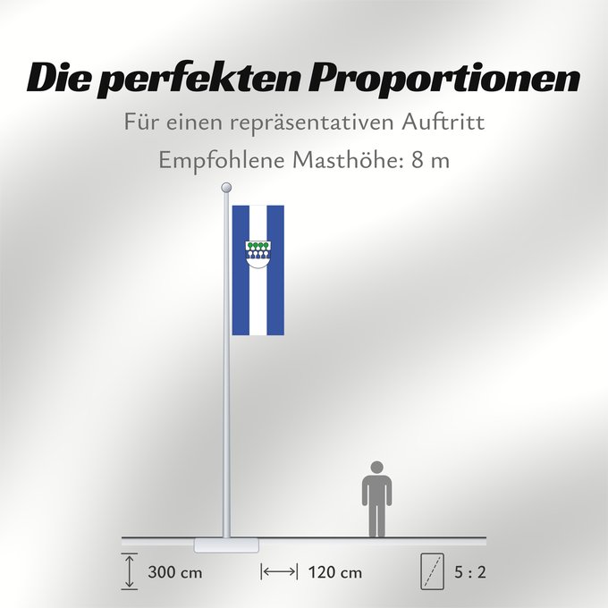 Proportionen der Flagge: Wehr (Südlicher Schwarzwald)