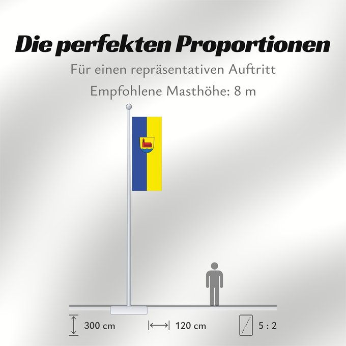 Proportionen der Flagge: Seekirch (Württembergisches Allgäu Oberschwaben)