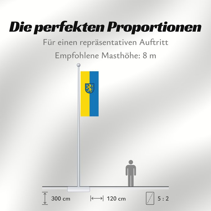 Proportionen der Flagge: Ravensburg (Kreis)