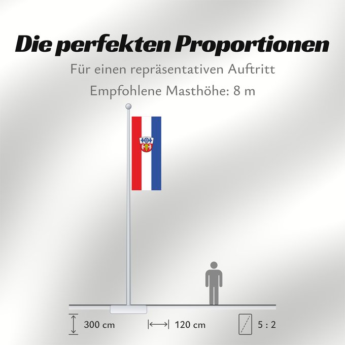 Proportionen der Flagge: Saaldorf-Surheim (Berchtesgadener Land)