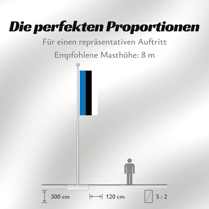Proportionen der Flagge: Estonia	L Estonie	Estland	Estone	Estónia	Estonii	Сцяг Эстоніі	Национално знаме на Естония	Estonská vlajka	Σημαία της Εσθονίας	Eesti lipp	پرچم کشور استونی	Viron	HEastóine	Észtország	エストニアの国旗	ესტონეთის დროშა	Estijos	Igaunijas	Знаме на Естонија	Estoniei	Флаг