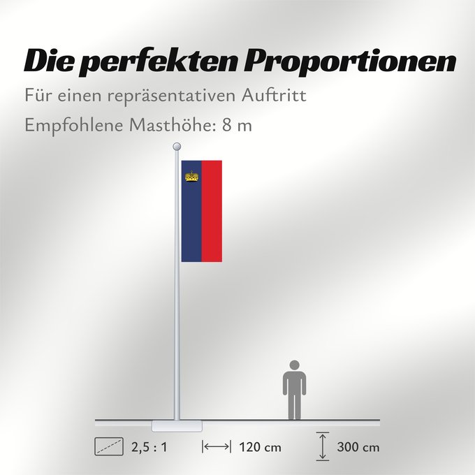 Proportionen der Flagge: Liechtenstein Сцяг Ліхтэнштэйна Liĥtenŝtejno Liechtensteingo bandera Ala Liechtensteinê Dal Liechtenstein Флаг Лихтенштейна Lihtenštajna Прапор Ліхтенштейну