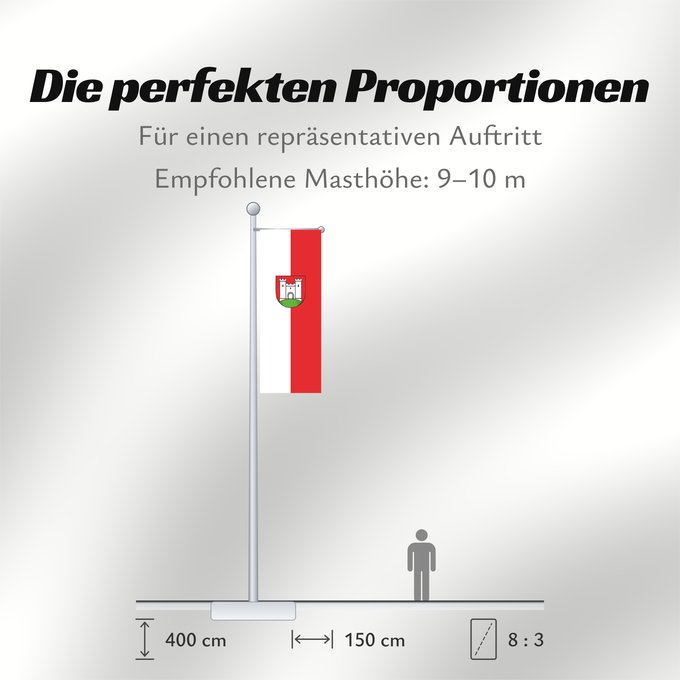 Proportionen der Flagge: Besigheim (Region Stuttgart)