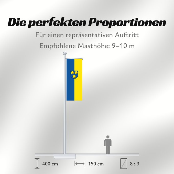 Proportionen der Flagge: Freiberg am Neckar (Region Stuttgart)