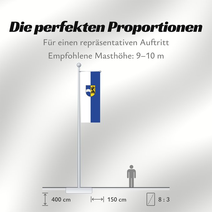 Proportionen der Flagge: Rhein-Neckar-Kreis (Kreis)