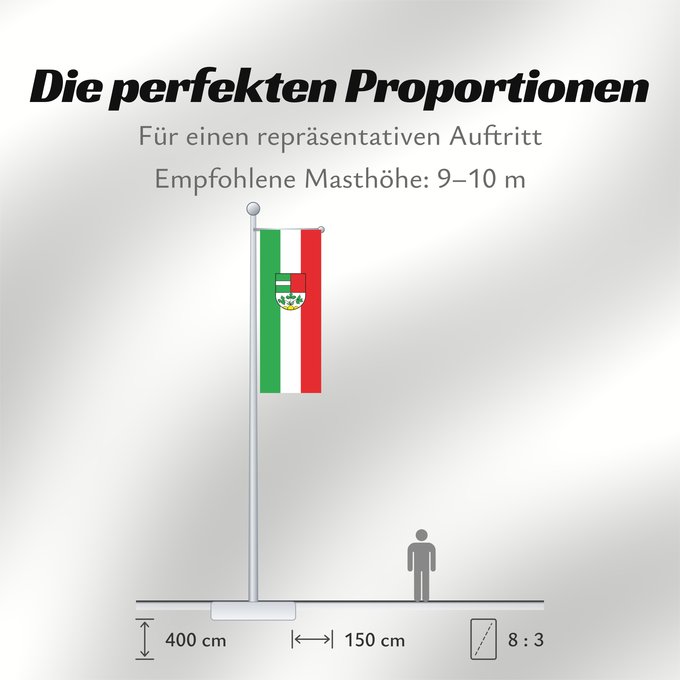 Proportionen der Flagge: Laupheim (Württembergisches Allgäu Oberschwaben)