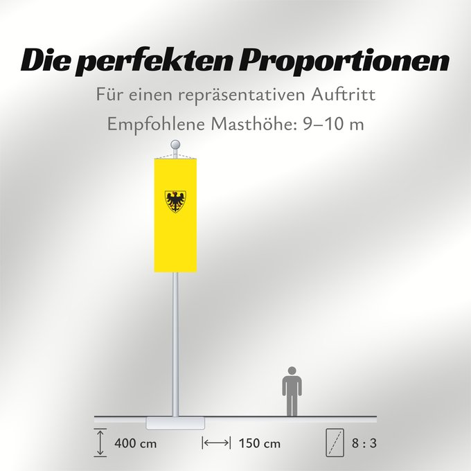 Proportionen der Flagge: Sinsheim (Nördliches Baden-Württemberg)