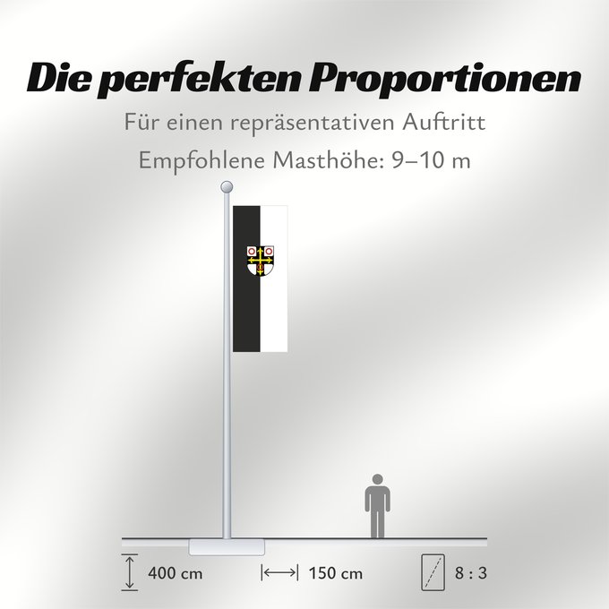 Proportionen der Flagge: Neckarsulm (Nördliches Baden-Württemberg)