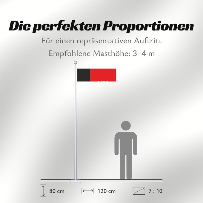 Proportionen der Flagge: Paraíba