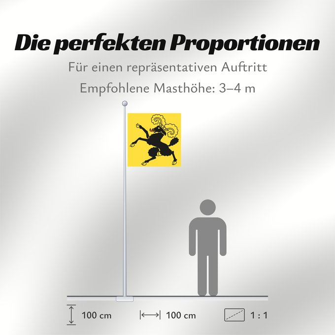 Proportionen der Flagge: Canton of Schaffhausen	Schaffhausen	Schaffhouse	Canton of Schaffhausen in Switzerland