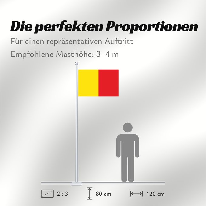 Proportionen der Flagge: Naples Province of Naples Province de Naples Provincia de Naples Provinz Naples Napoli