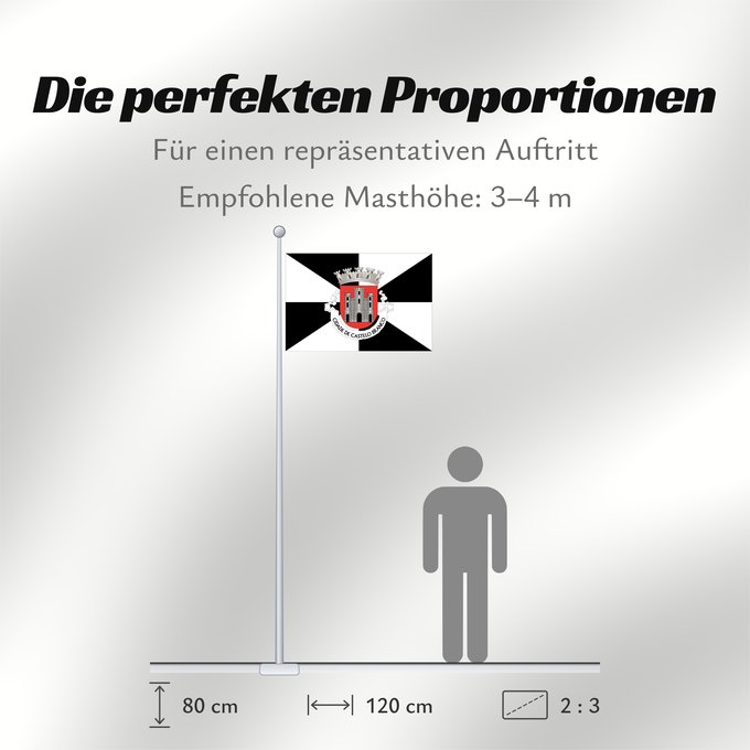 Proportionen der Flagge: Castelo Branco