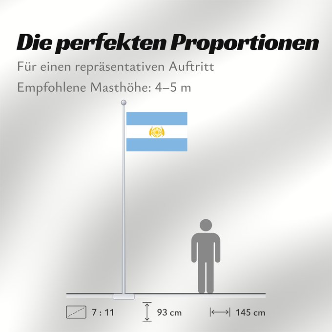 Proportionen der Flagge: BsAs-noof Historica no oficial de buenos aires de 1995 creada por el gob cafiero