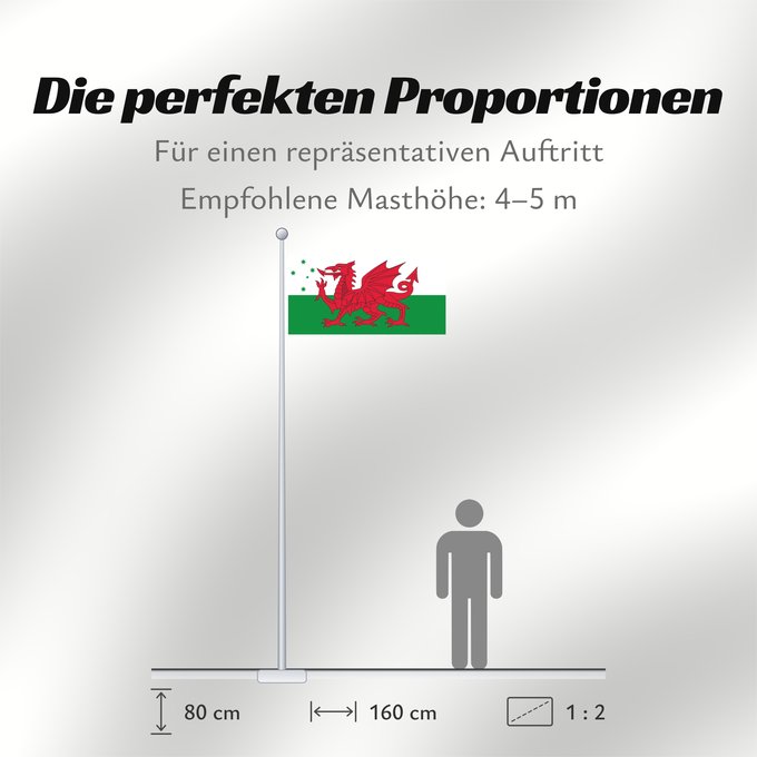 Proportionen der Flagge: Australian Welsh heritage