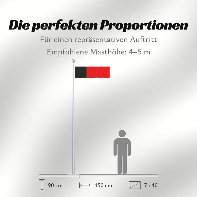 Proportionen der Flagge: Paraíba