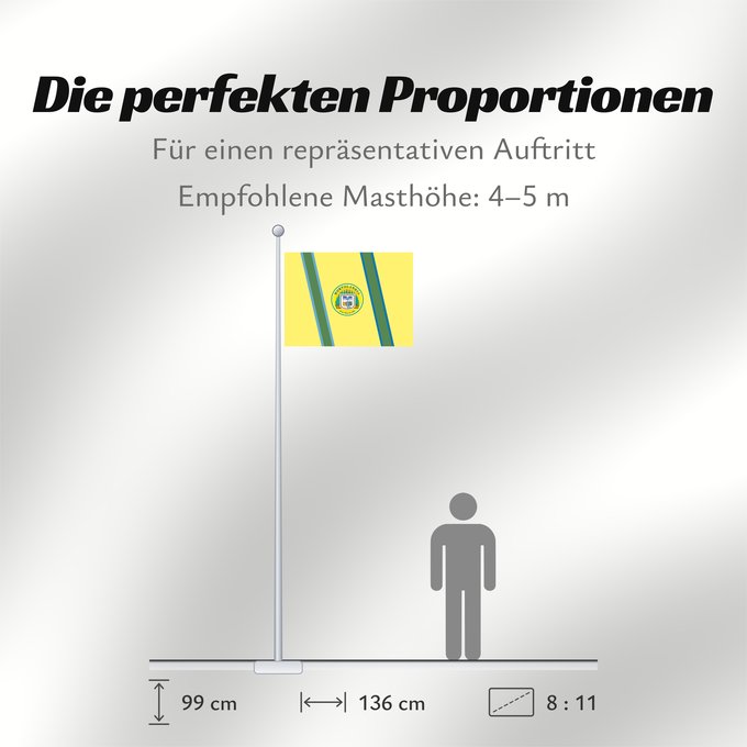 Proportionen der Flagge: Hortolandia SaoPaulo Brasil	Hortolândia	Município de Hortolândia no Estado de São Paulo