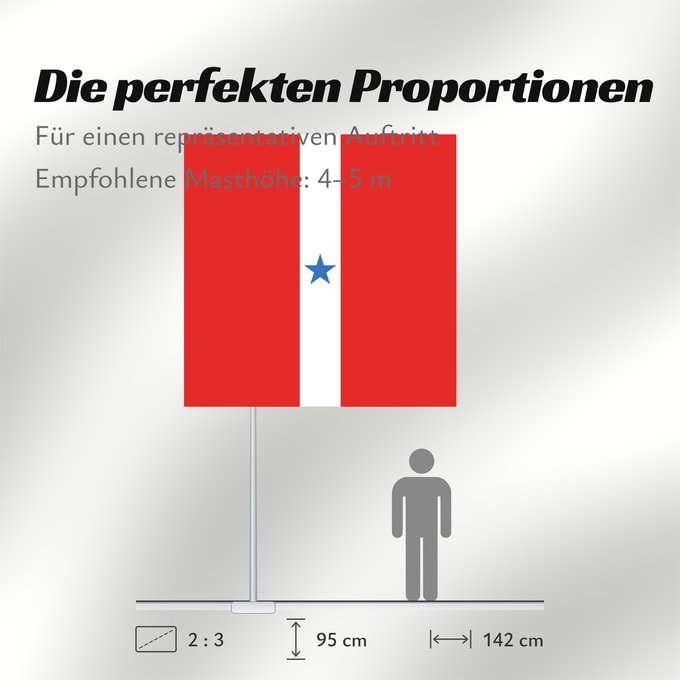 Proportionen der Flagge: Pará  variante	Variante  maybe formal  flag of Pará	Pará (variante)	Pará (Variante)	Possível versão original da bandeira do Pará e do Clube Republicano Paraense