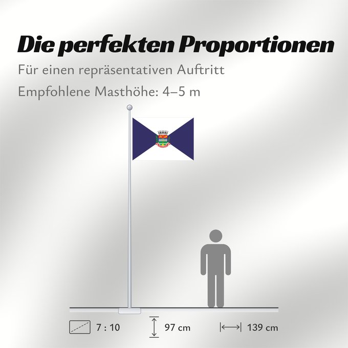 Proportionen der Flagge: São Gonçalo	São Gonçalo, RJ, Brazil