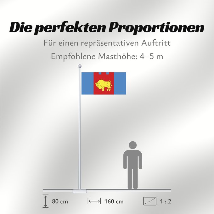 Proportionen der Flagge: Brest Voblast, Belarus	Brest voblast, Belarus	Voblast de Brest, Biélorussie	Voblast de Brest, Bielorussia	Brest-Woblast	Voblast di Brest	Сцяг Брэсцкай вобласці	Флаг Брестской области	Прапор Берестейської області