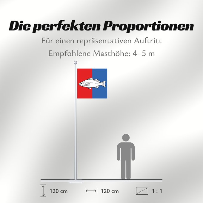 Proportionen der Flagge: CHE Nyon	Swiss city Nyon	Miasta Nyon w Szwajcarii