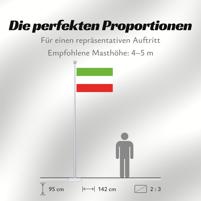 Proportionen der Flagge: San Juan de Arama, Meta