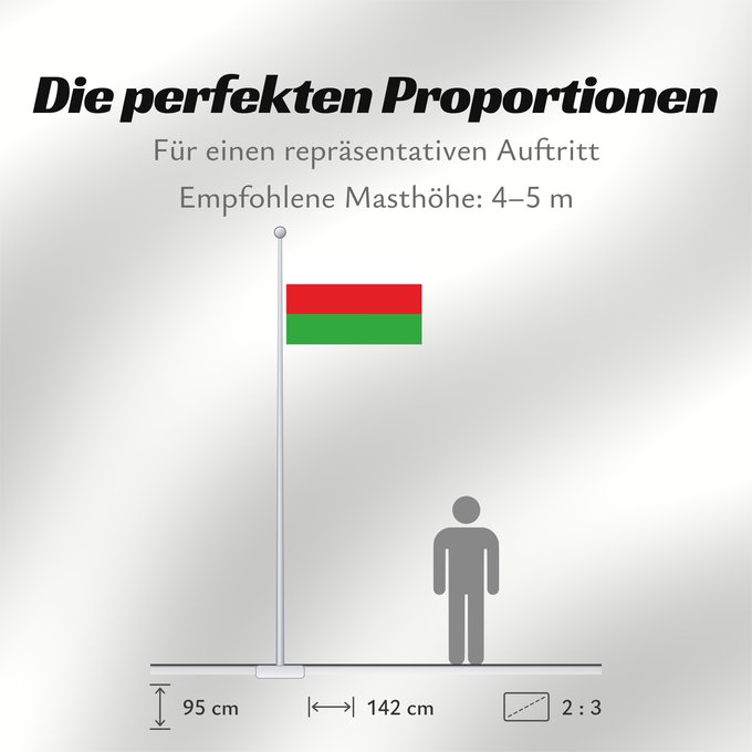 Proportionen der Flagge: Sincelejo
