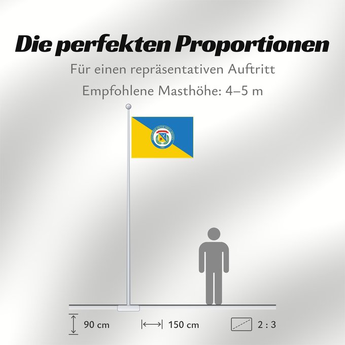 Proportionen der Flagge: Universidad Militar Nueva Granada