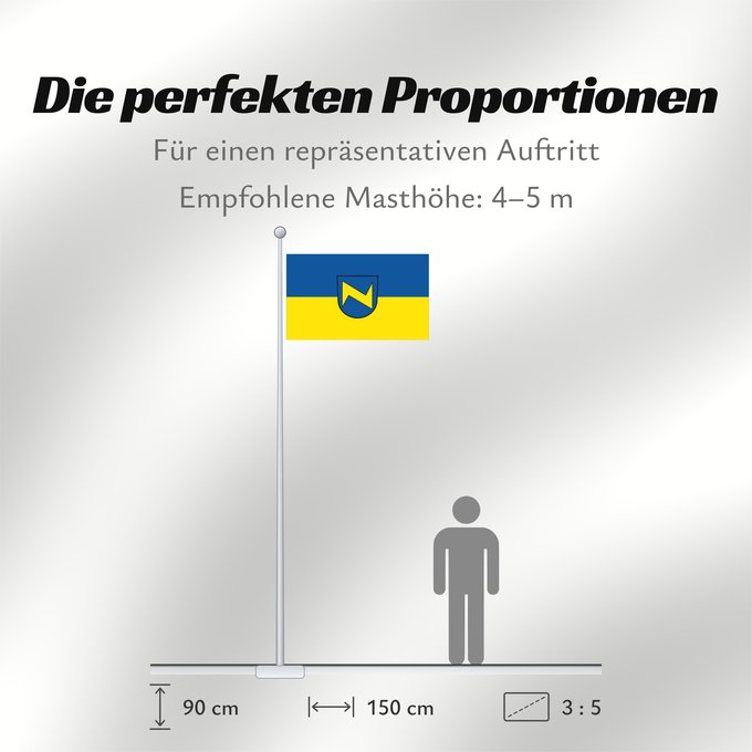 Proportionen der Flagge: Neckartenzlingen (Region Stuttgart)