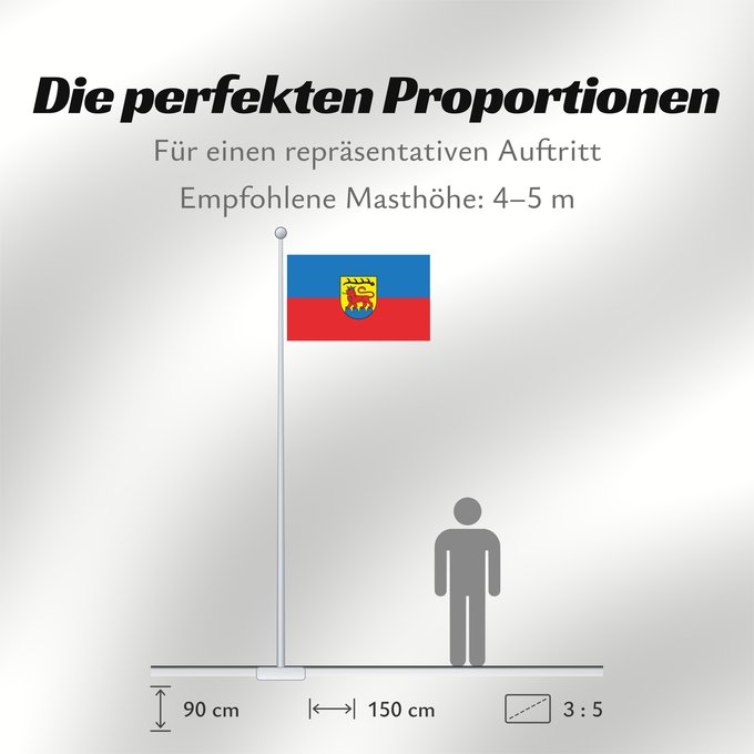 Proportionen der Flagge: Vaihingen an der Enz (Region Stuttgart)