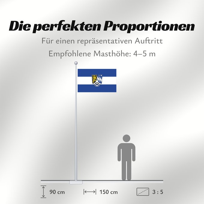 Proportionen der Flagge: Meckesheim (Nördliches Baden-Württemberg)