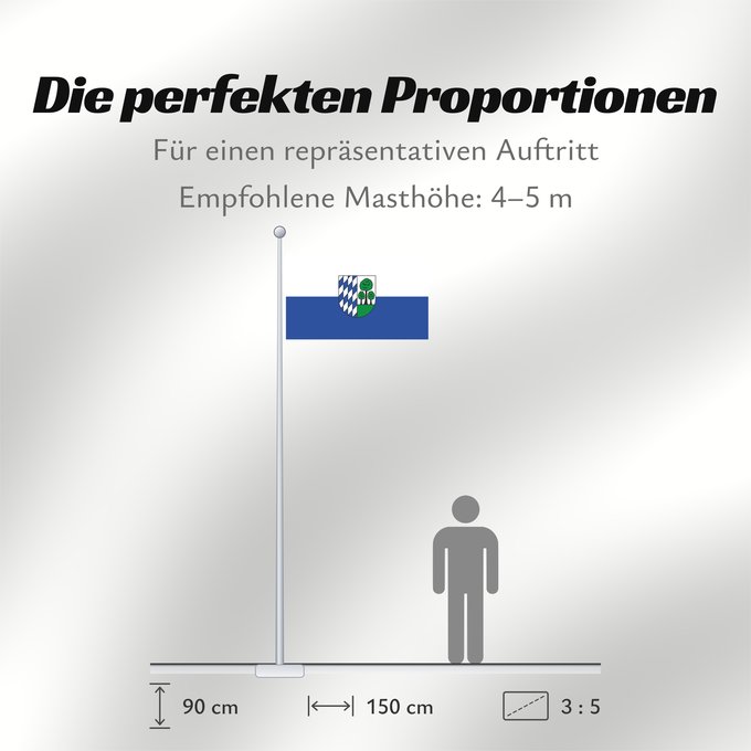Proportionen der Flagge: Sandhausen (Nördliches Baden-Württemberg)
