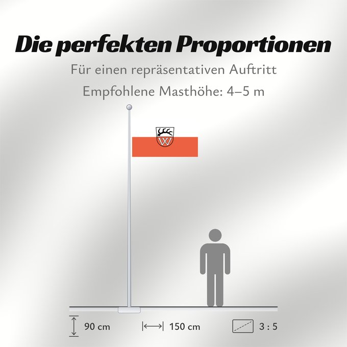 Proportionen der Flagge: Wildberg (Nördlicher Schwarzwald)