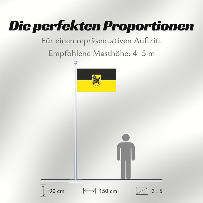 Proportionen der Flagge: Freudenstadt (Kreis)