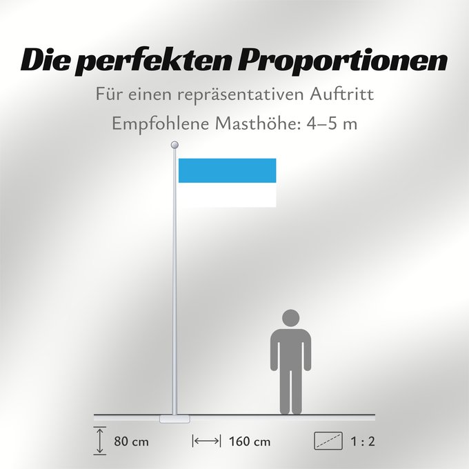 Proportionen der Flagge: Et-Viljandi	Viljandi
