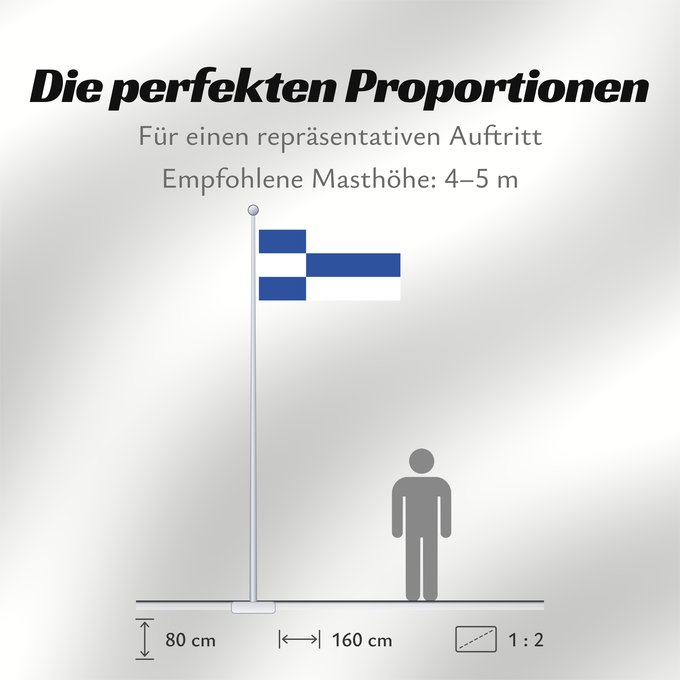 Proportionen der Flagge: Haapsalu lipp	Haapsalu 2  1	Haapsalu (2:1)	Haapsalu lipp 2  1	Флаг Хаапсалу 2  1