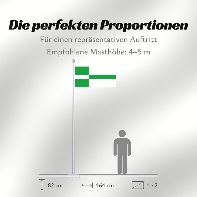 Proportionen der Flagge: Paide lipp	Paide	Paide town - Estonia. 2 1