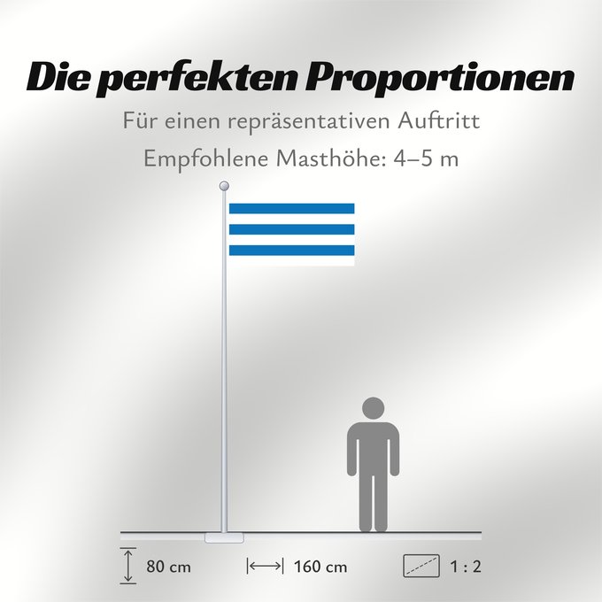 Proportionen der Flagge: Tallinn	Tallinn, Estonia	Tallin	Stadt Tallinn  ehemaliges Reval , Estland	Tallinna lipp