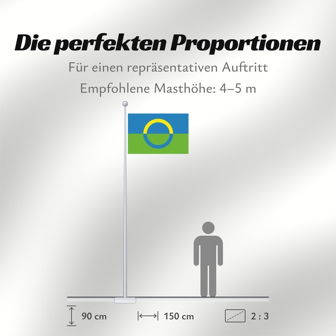 Proportionen der Flagge: Võros old proposal Võros unofficial proposal Võros (proposition non officielle) Võros (propuesta no oficial) Võros (inoffizieller Vorschlag) Võros (proposta non ufficiale)