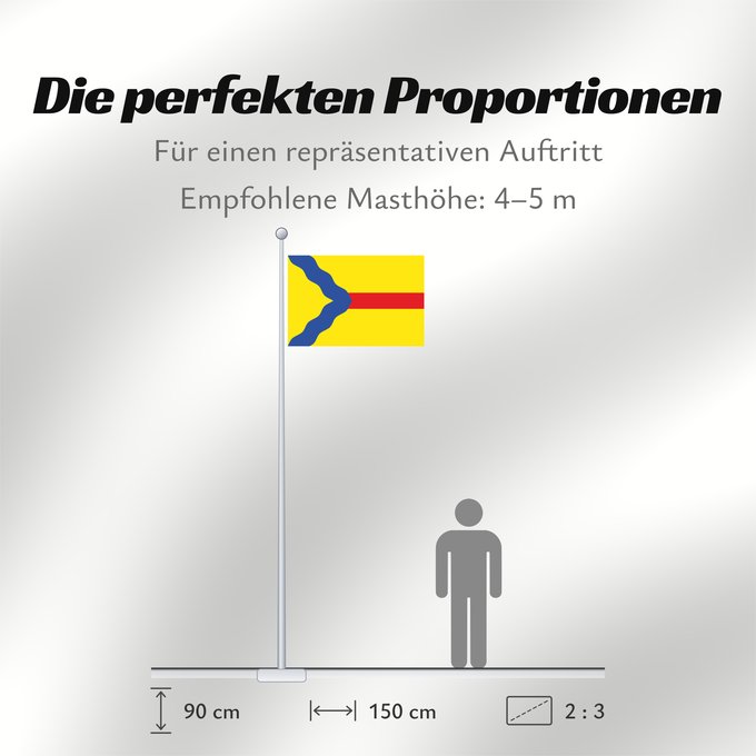 Proportionen der Flagge: Asín Municipal de Asín - Zaragoza - España