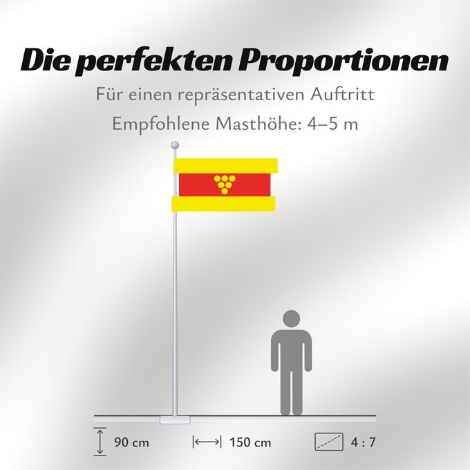 Proportionen der Flagge: Negotino Municipality, North Macedonia	Negotino Municipality, Macedonia	Municipalité de Negotino	Municipio de Negotino	Gemeinde Negotino	Comune di Negotino	Знаме на Општина Неготино