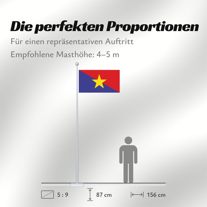 Proportionen der Flagge: Mm army 2