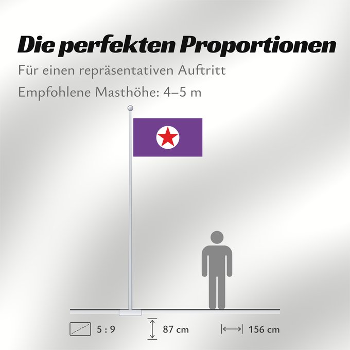 Proportionen der Flagge: Mm yangon rmc