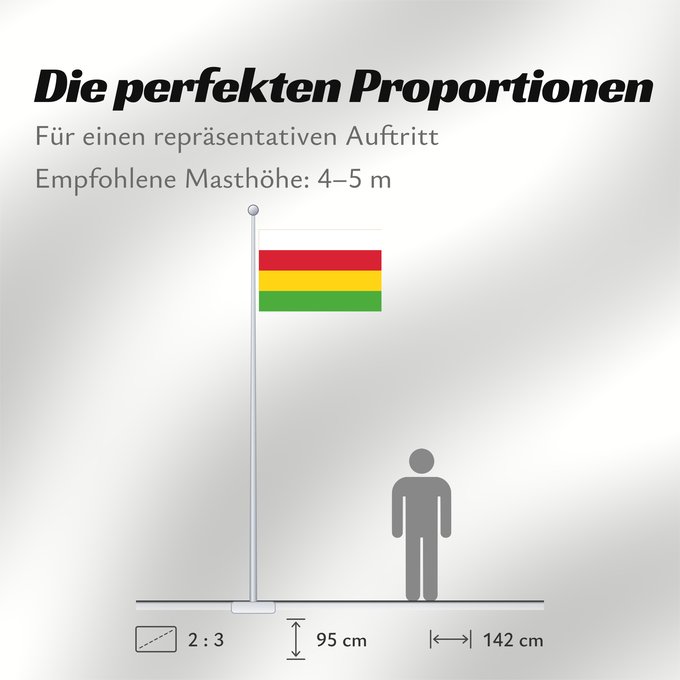 Proportionen der Flagge: Dantumadeel Dutch municipality of Dantumadiel