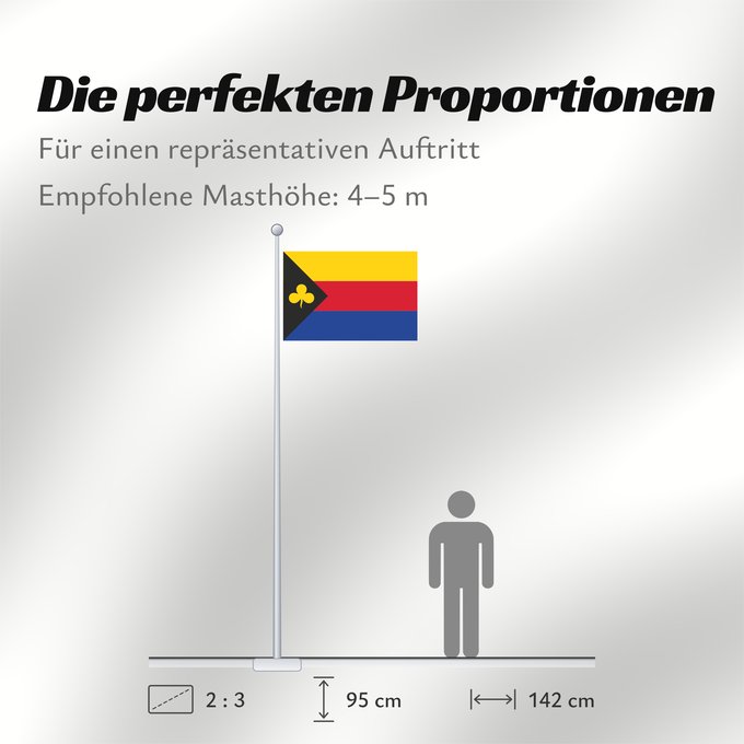 Proportionen der Flagge: Delfzijl Dutch municipality of Delfzijl