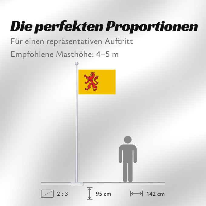 Proportionen der Flagge: South Holland	Dutch province of South Holland  since 1985