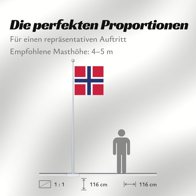 Proportionen der Flagge: Naval Jack of Norway