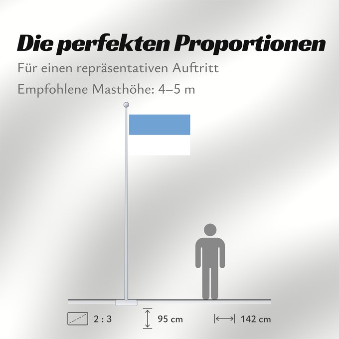 Proportionen der Flagge: Puno