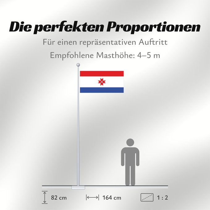 Proportionen der Flagge: Mordovia  1995-2008	Mordovia (1995-2008)	Mordovie (1995-2008)	Mordwinien (1995-2008)