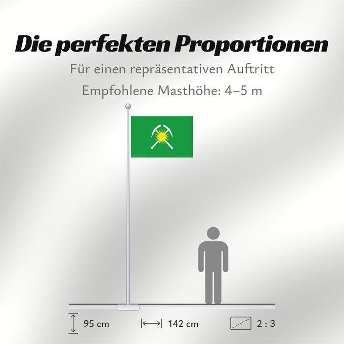 Proportionen der Flagge: Raychikhinsk  Amur oblast	Raychikhinsk, Amur Region, Russia	Raychikhinsk	Raitschichinsk	Флаг города Райчихинск
