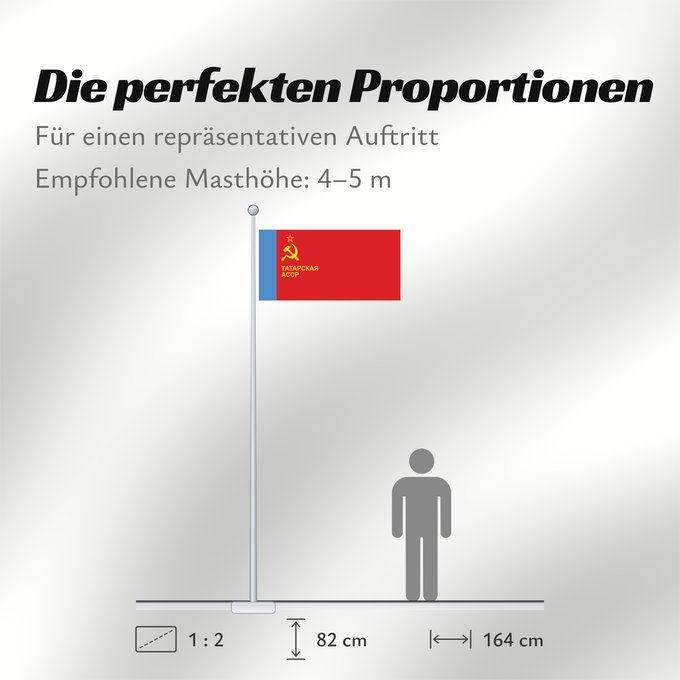 Proportionen der Flagge: Tatar ASSR	Tatar ASSR, used 1981-1990	ASSR du Tatarstan (1981-1990)	ASSR de Tartaristán (1981-1990)	Tatar ASSR (1981-1990)	ASSR tatara (1981-1990)	Tatarien ASNT n	Флаг ТАССР утверждено 1 июня 1981 года  смотри флаги Татарии	Татар АССР байрагы	Прапор Татар